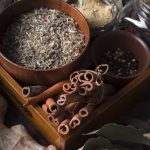 Mucuna Colletii: The Traditional Herb with Modern Medical Benefits