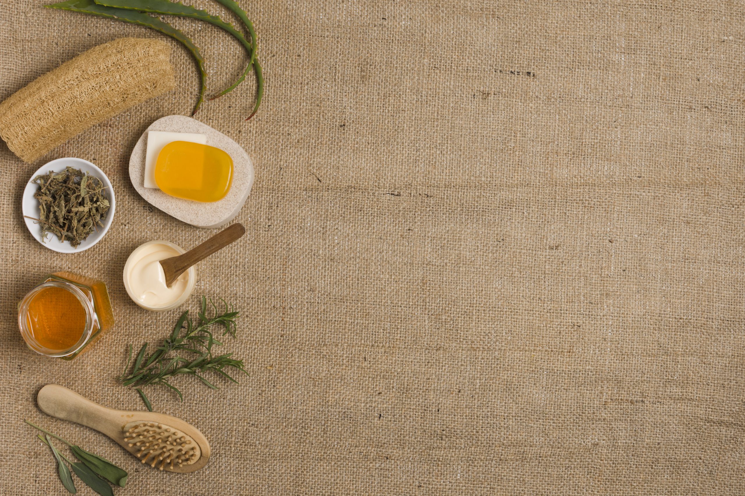 Enkleia thorelii (Lecomte) Nerveling: The Hidden Herbal Gem for Human Health