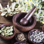 The Science Behind Phytoestrogens: How Traditional Herbs Support Wellness