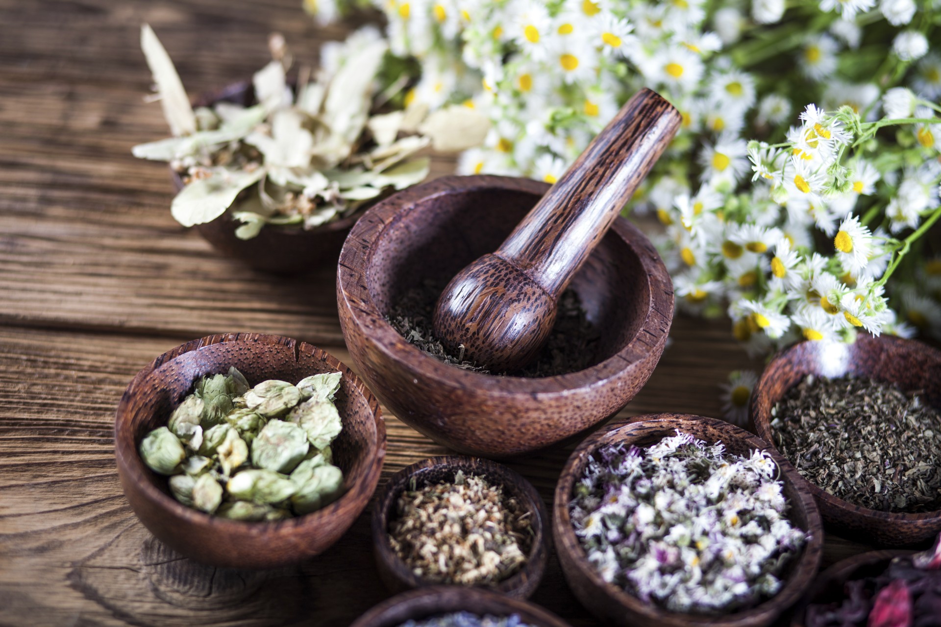  The Science Behind Phytoestrogens: How Traditional Herbs Support Wellness