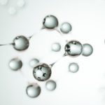 The Science Behind Phytoestrogens and Hormonal Support