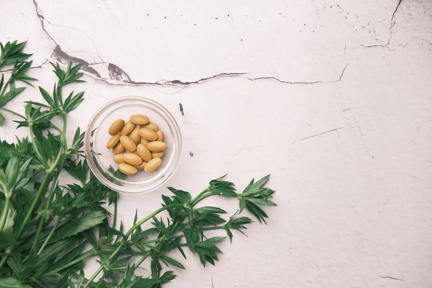  Pueraria Mirifica vs Other Phytoestrogen Sources: What’s the Difference?