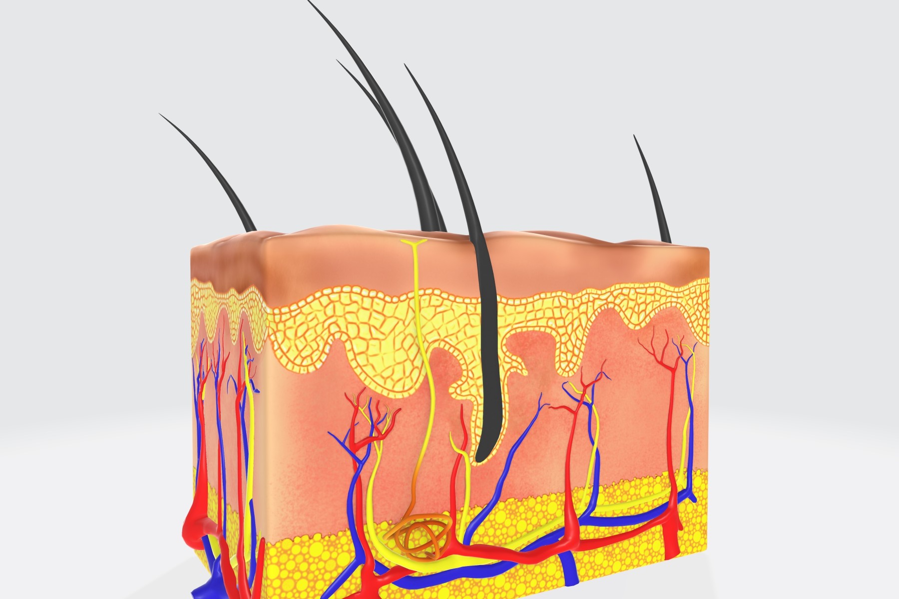  Microcirculation Skin Glow: The Hidden Beauty Factor Explained