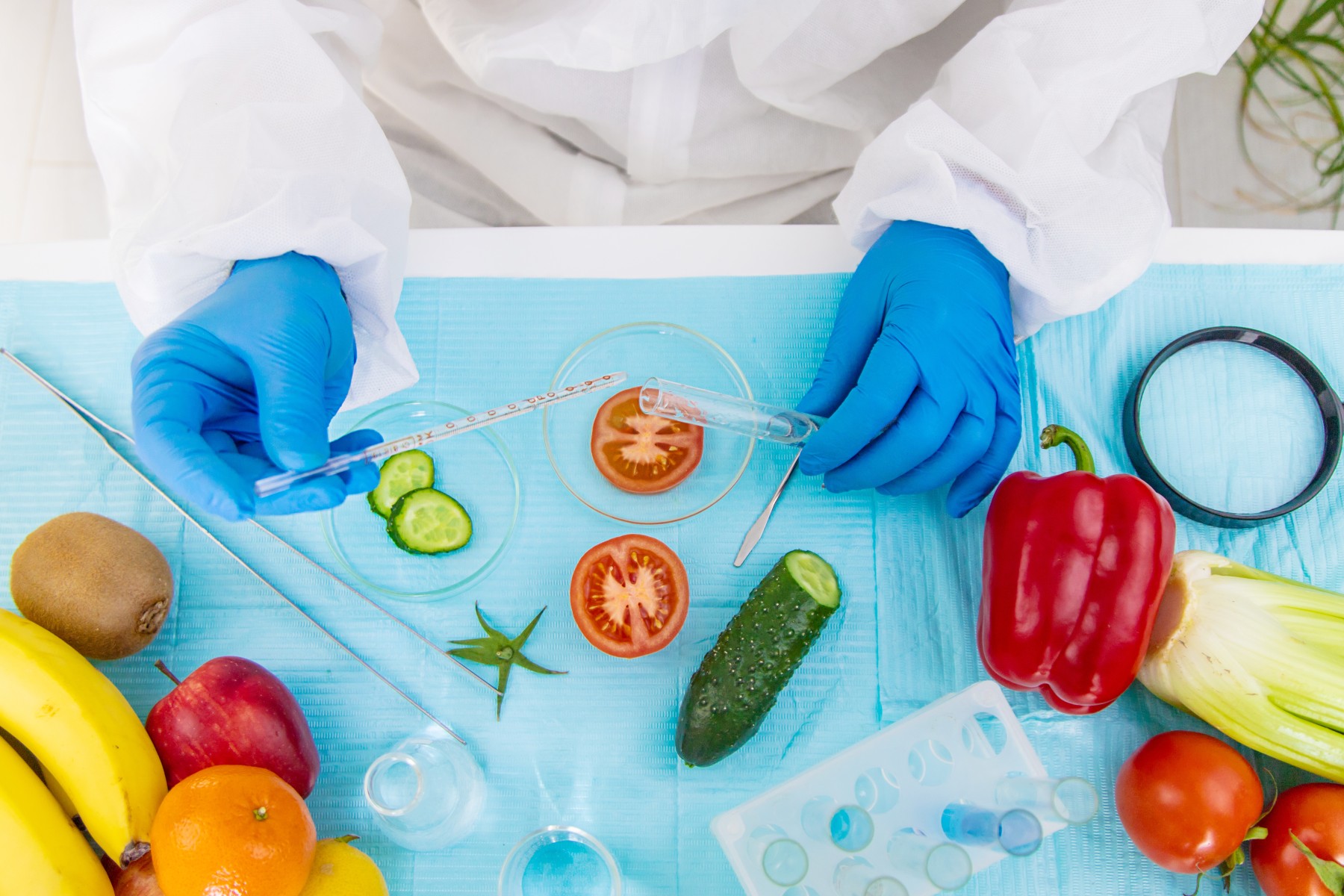  Phytochemicals Women Longevity: The Role of Plant Compounds in Healthy Aging