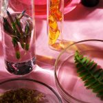 Herbal Extracts That Support Lymphatic Drainage Naturally for Skin and Wellness