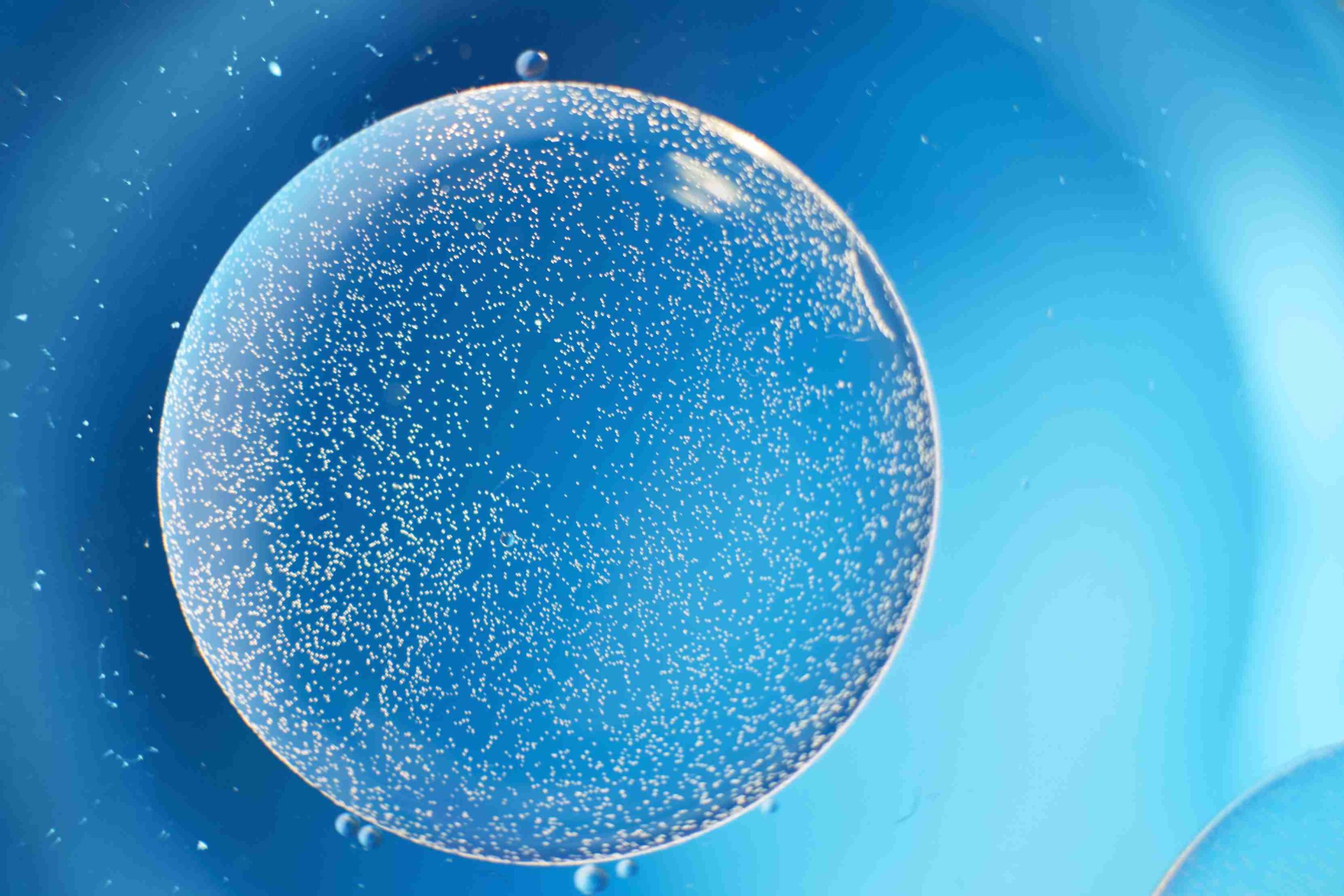  Cellular Senescence and Skin: When Cells Stop Functioning