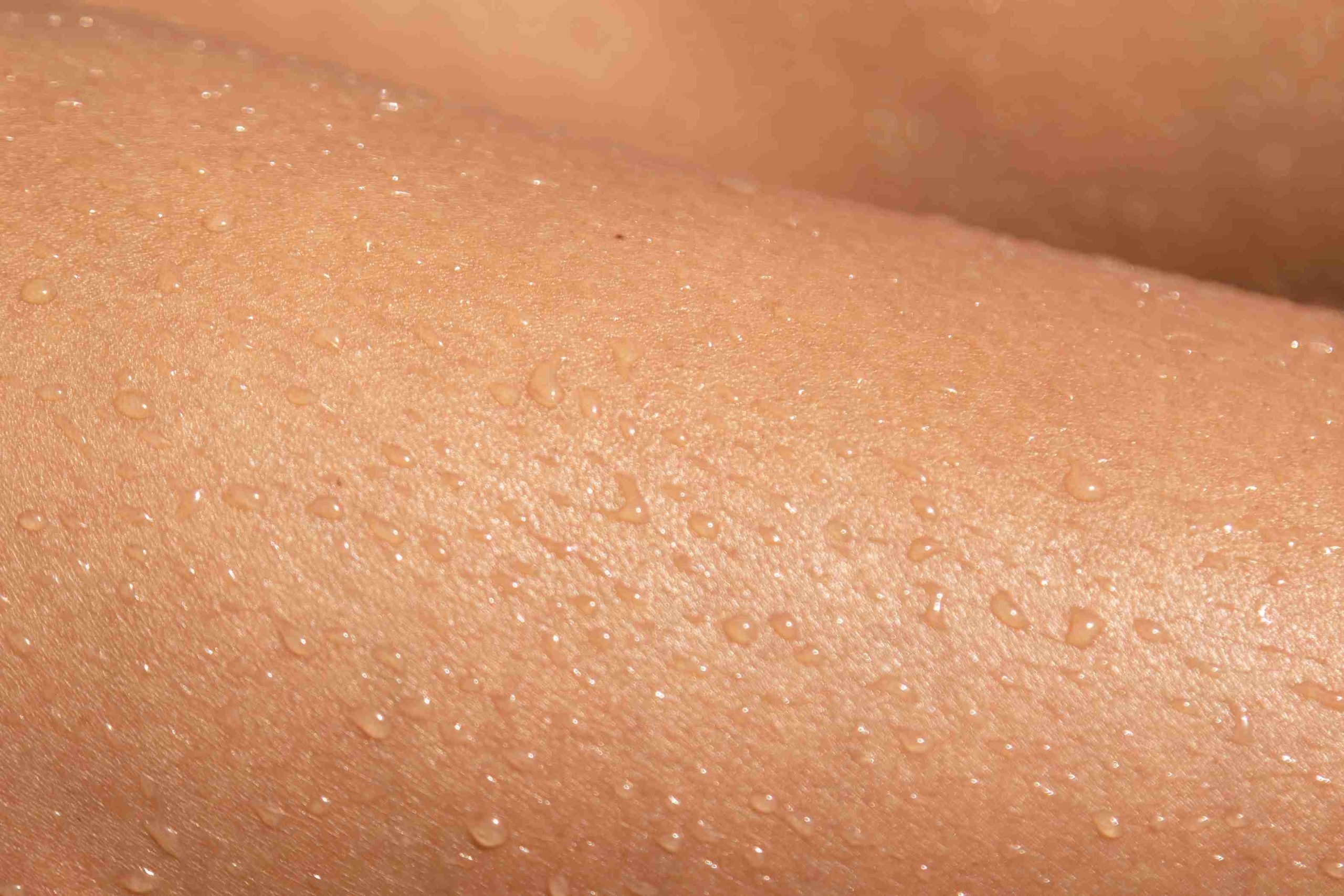  Isoflavones vs Flavonoids vs Lignans: What’s the Difference in Skin Biology?