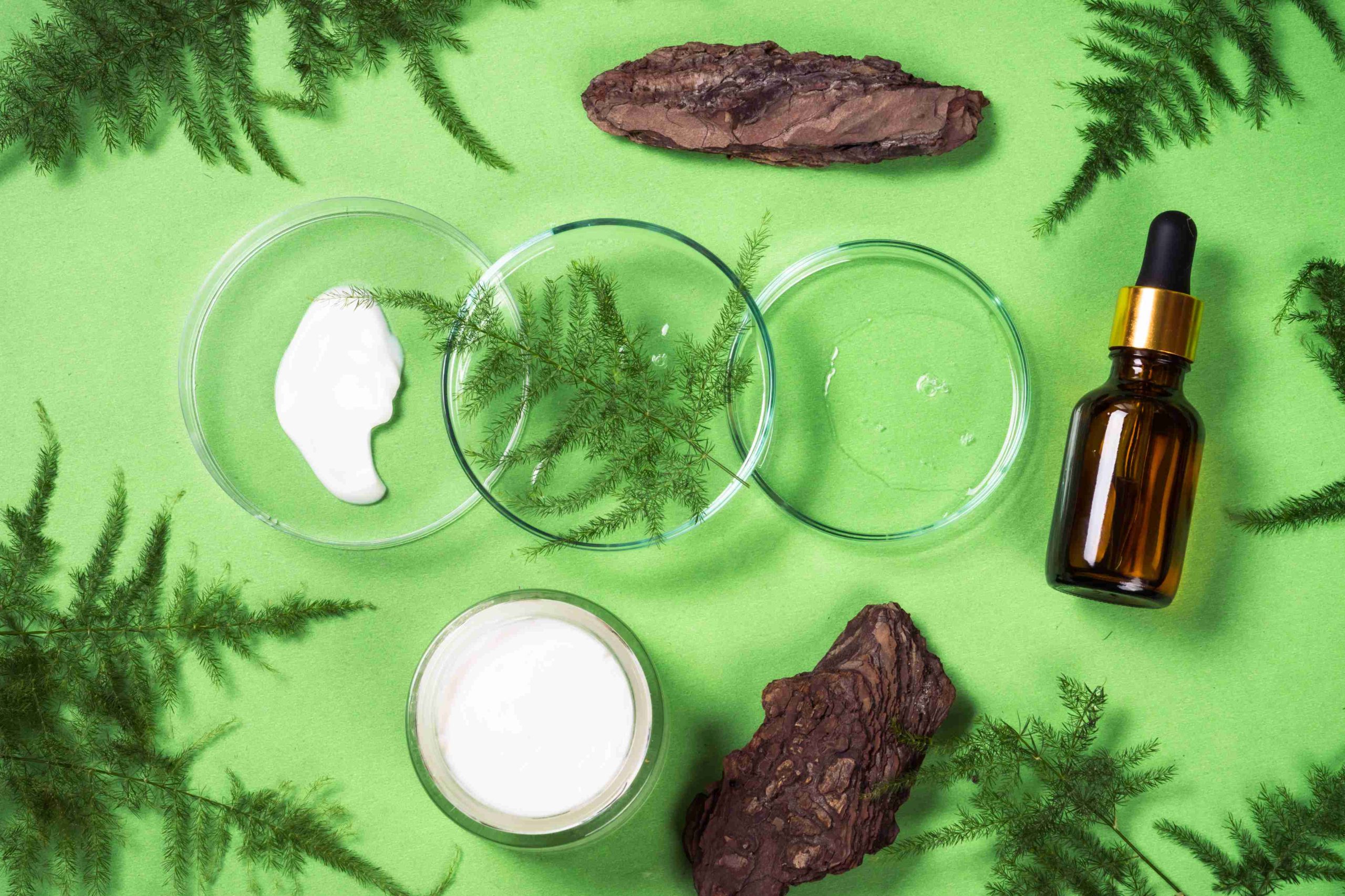 Standardized Extracts vs Raw Powders Guide