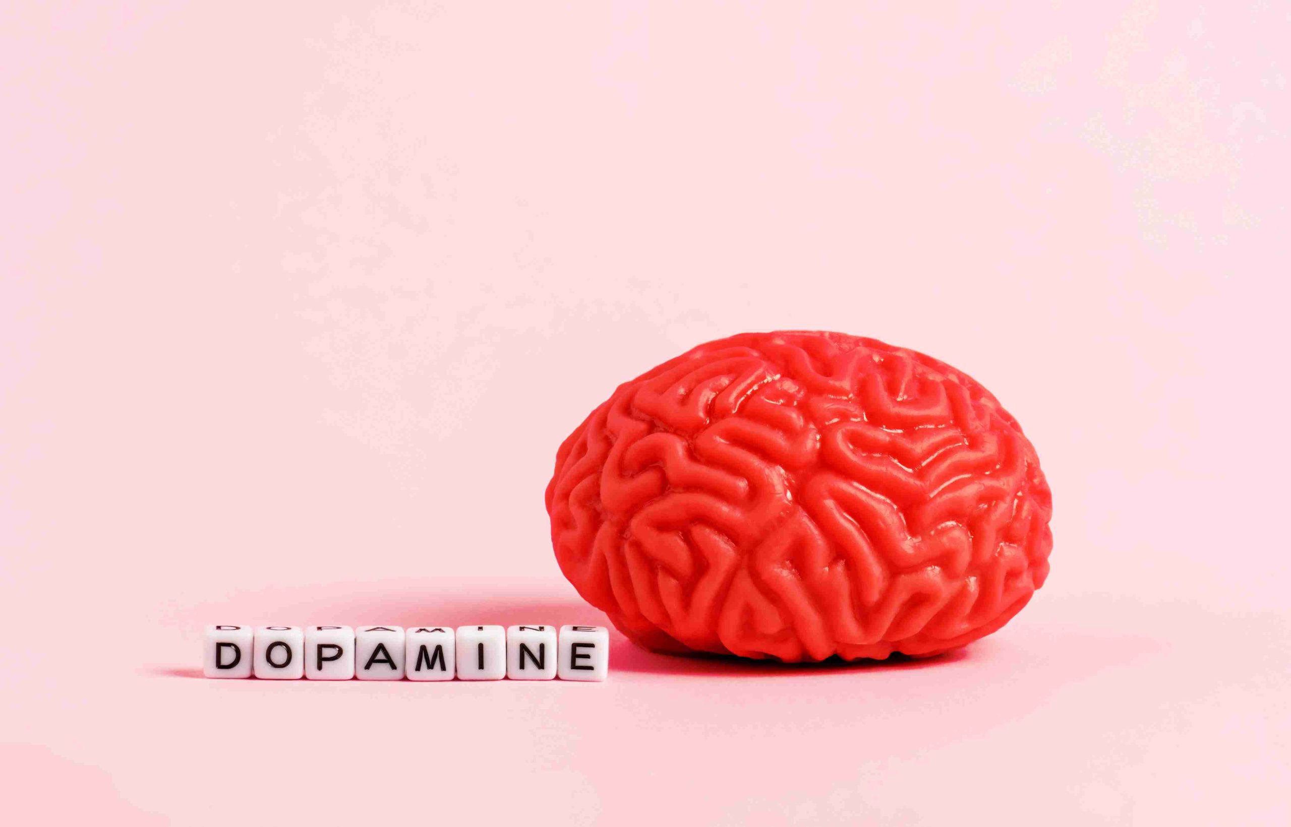  Dopamine, Habits, and Skin Care Consistency: A Behavioral Science View