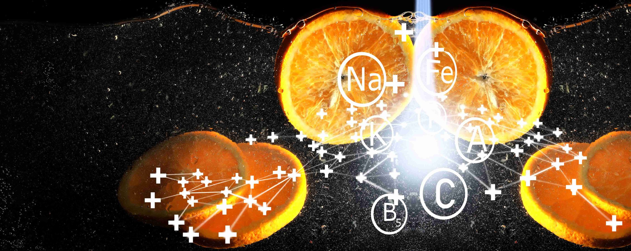  Oxygen Utilization and Skin Function: The Role of Cellular Respiration