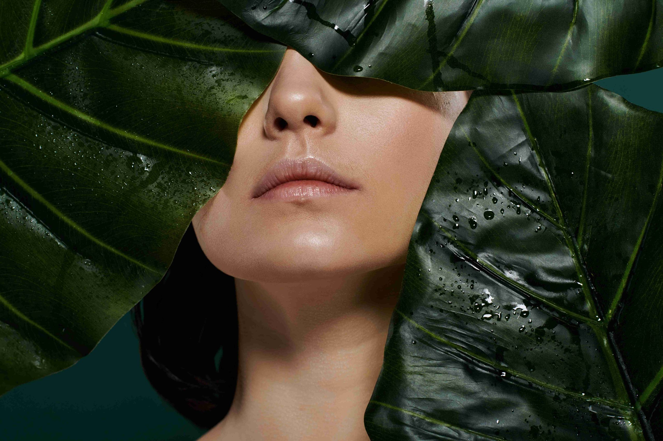  The Vagus Nerve and Skin: How Nervous System Regulation Affects Appearance