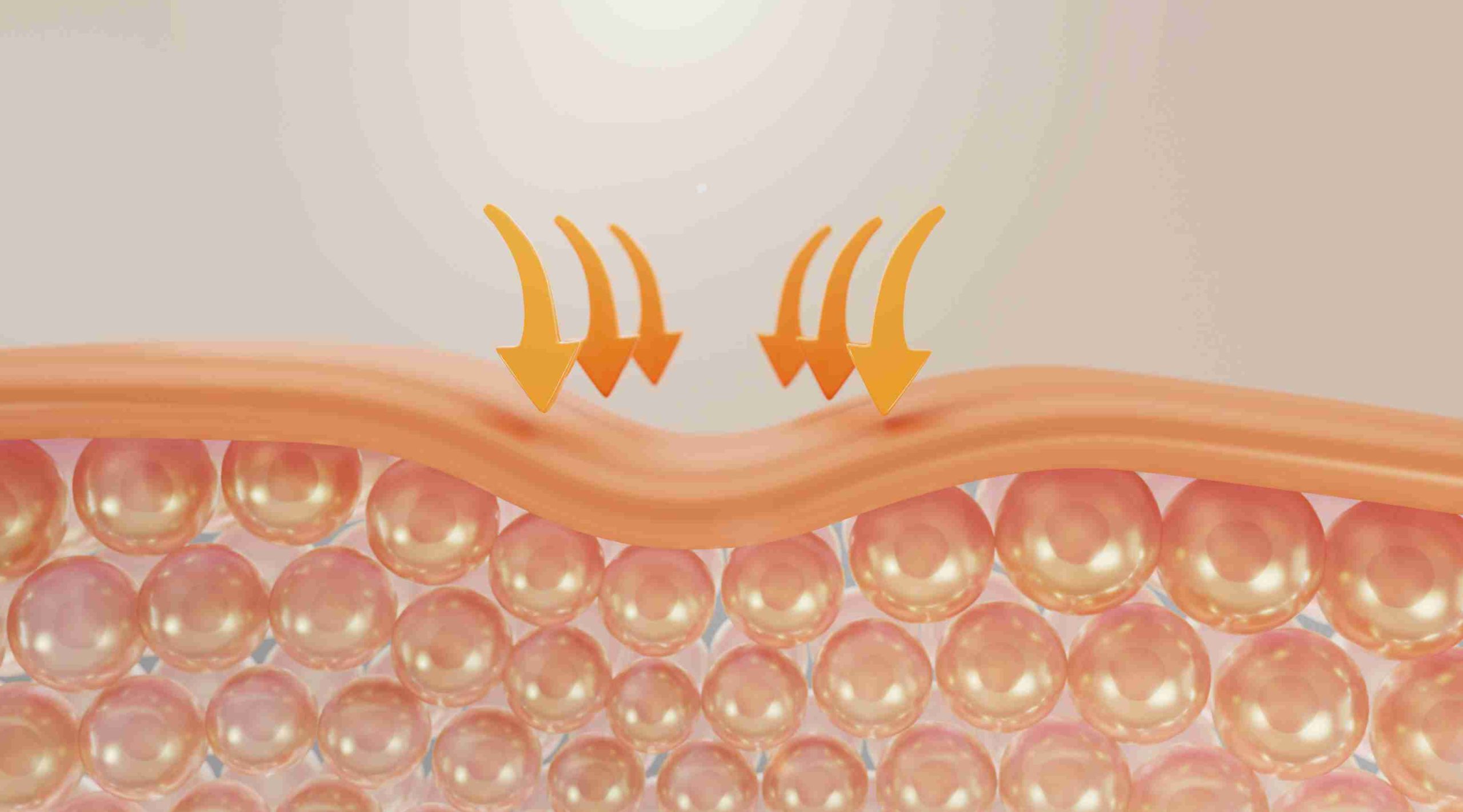  Gut Barrier Function and Beauty-from-Within Trends in Asia