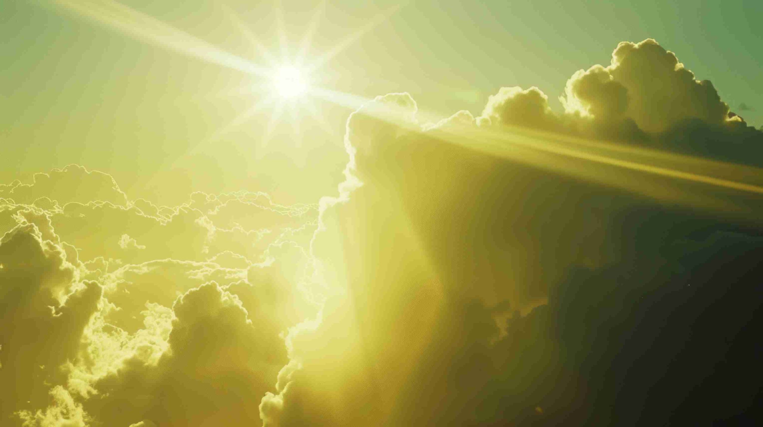  The Science of Morning Sunlight, Hormonal Timing, and Skin Vitality