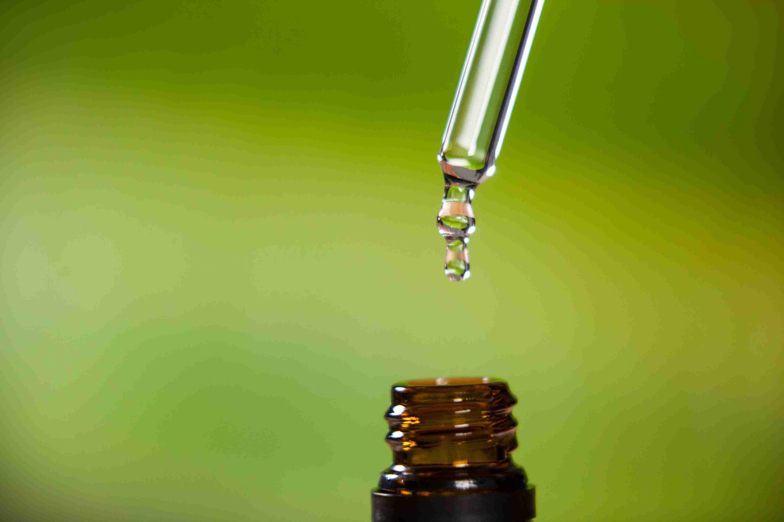  Botanical Lipids and the Future of Barrier-Focused Beauty