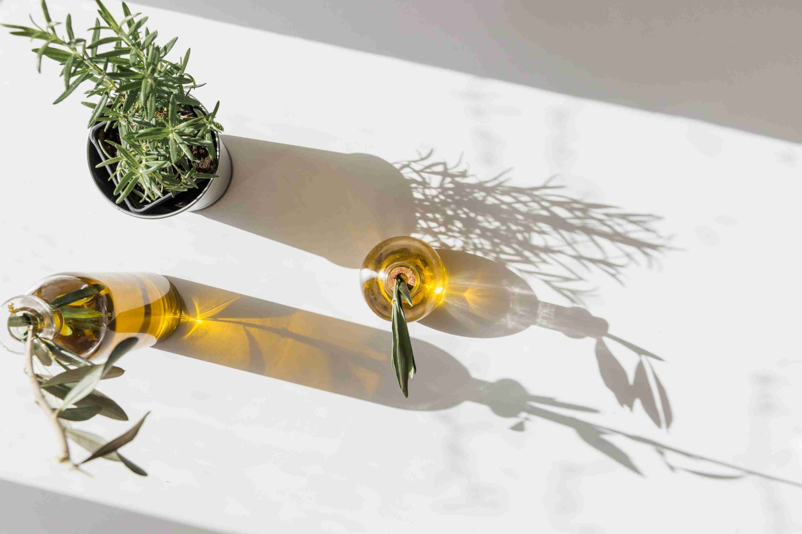  Why Botanical Diversity Matters in Daily Wellness