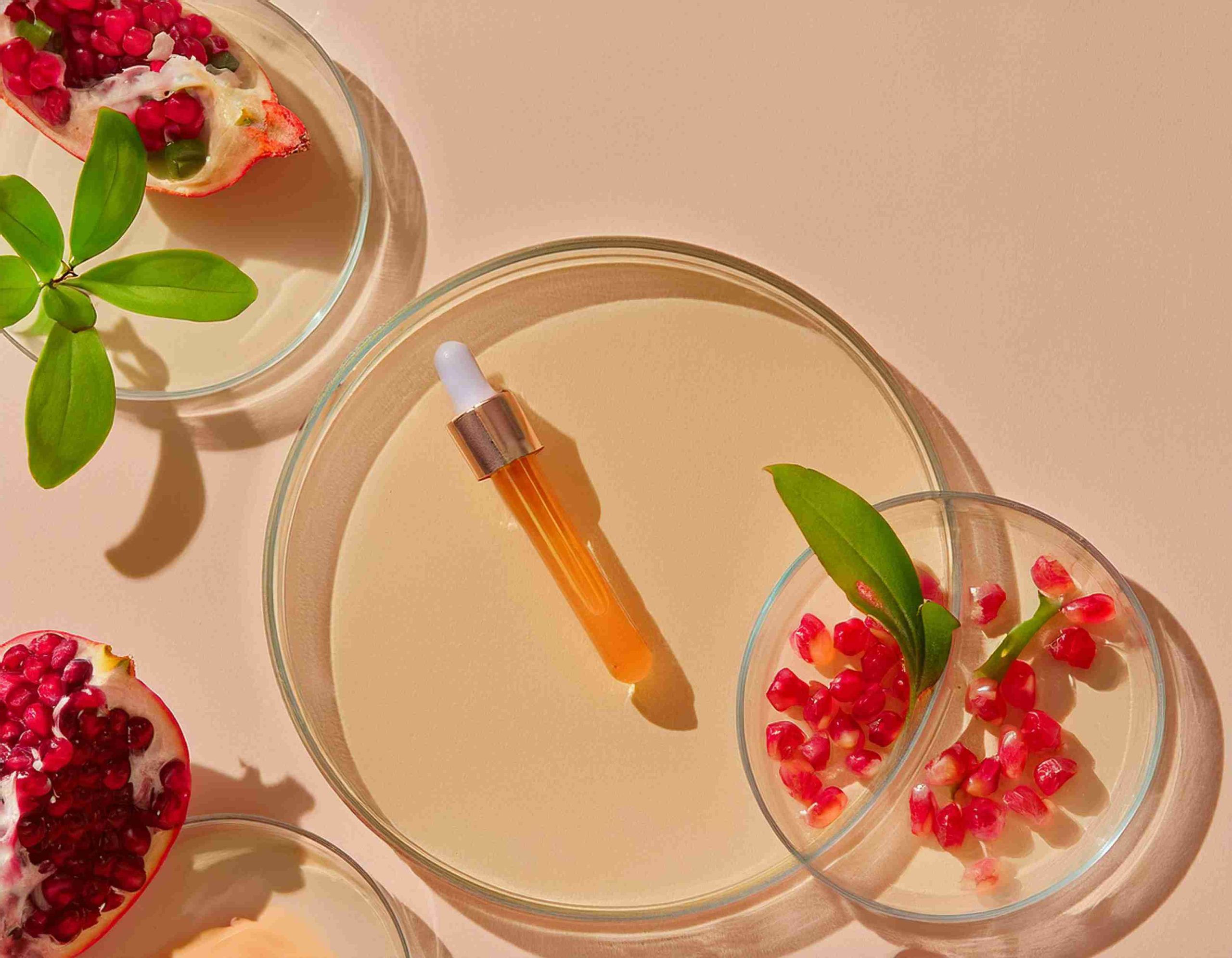  Botanical Extract Stability: Why Storage Conditions Affect Potency