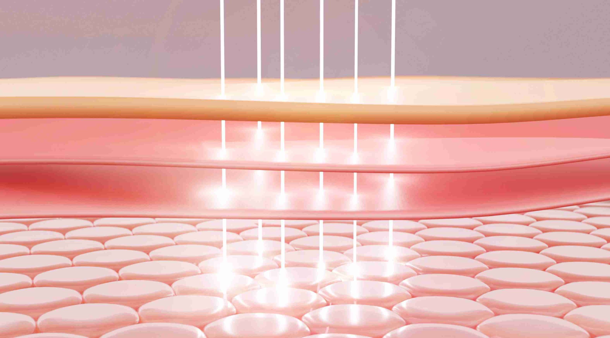  Cellular Communication and Skin Appearance: The Signaling Perspective