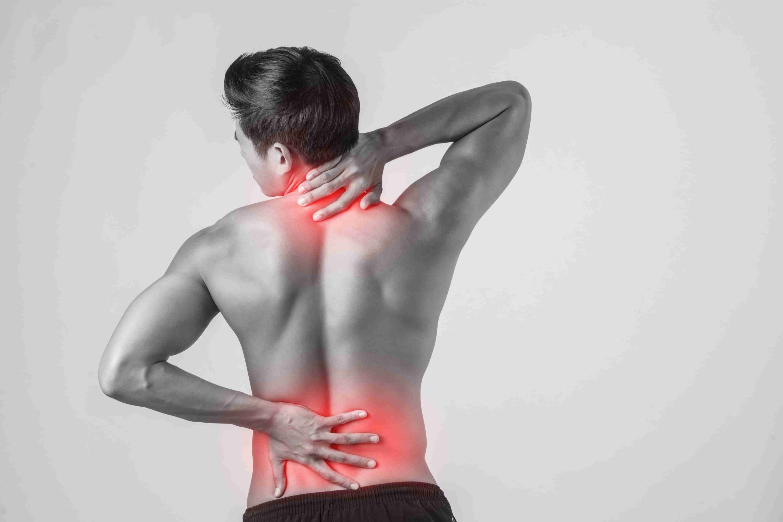  Kaempferia Parviflora and Inflammation Explained