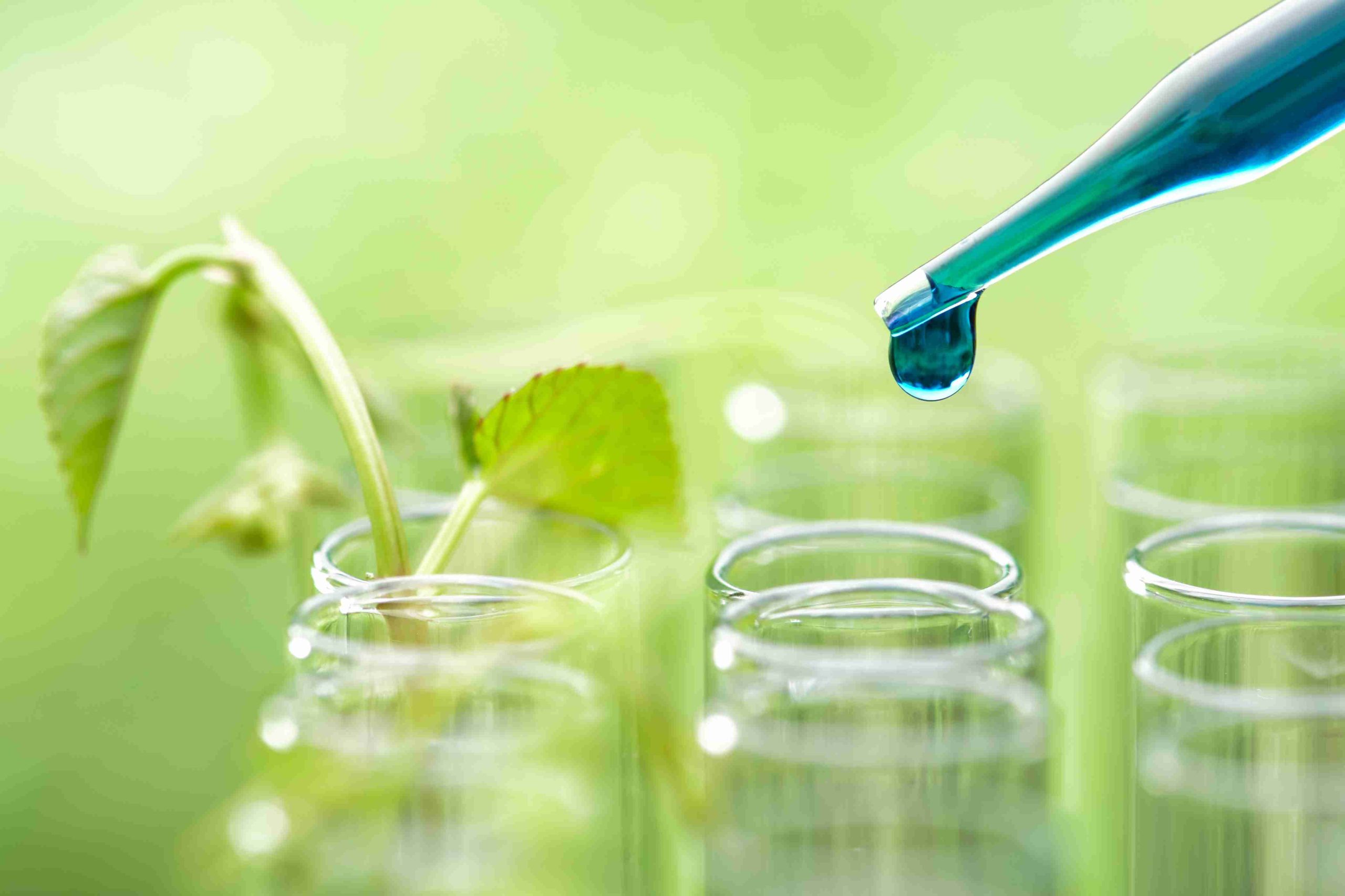  Pueraria Mirifica Bioavailability by Supplement Form